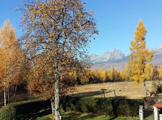 V Ihlici